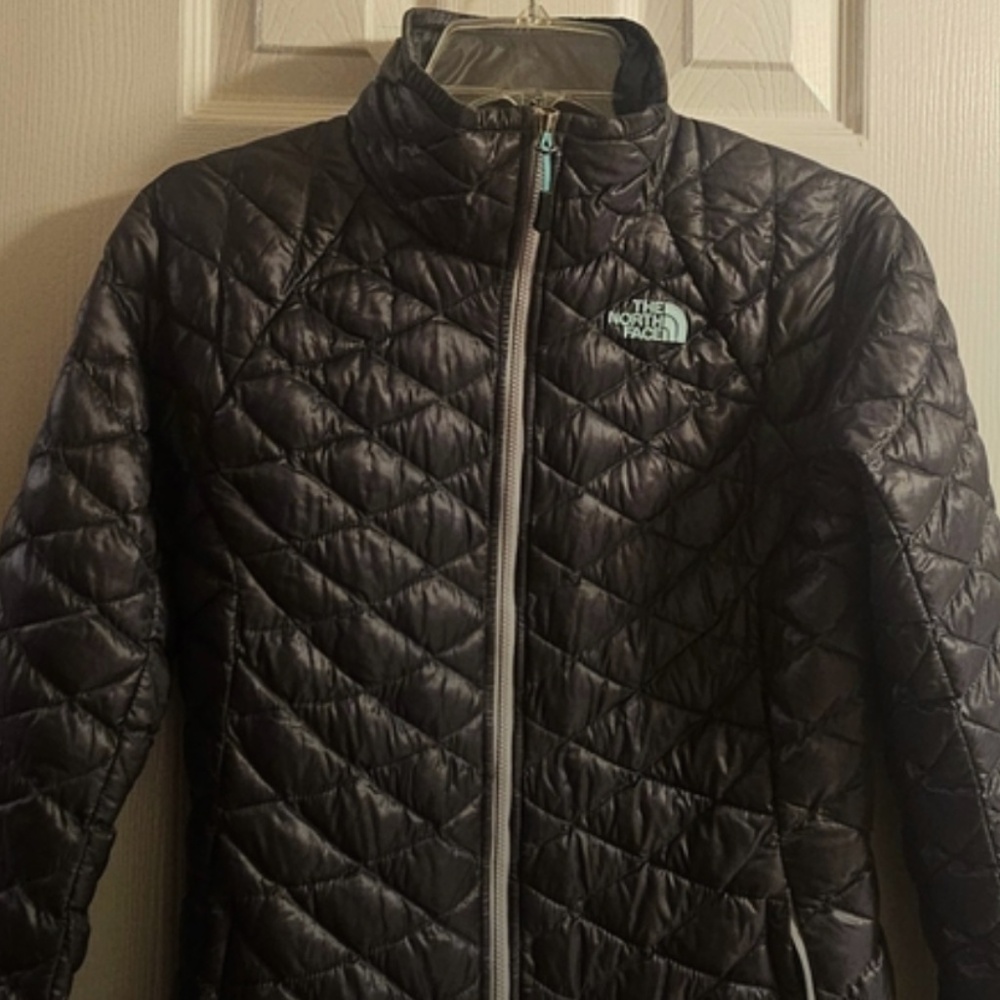 The North Face Quilted Puffy Jacket